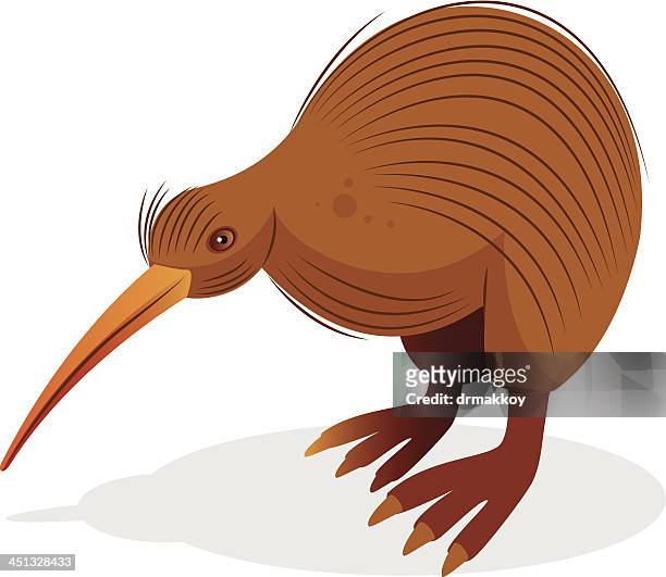 Kiwi Bird High-Res Vector Graphic - Getty Images