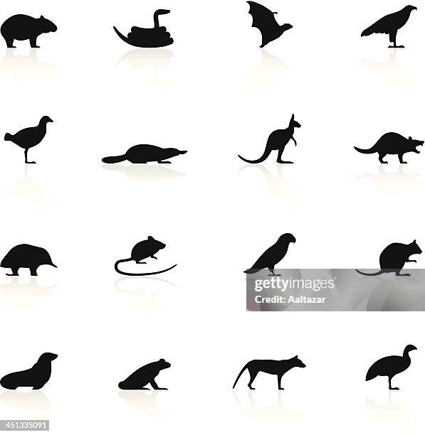 vektor-satz von tierischen symbole tasmanischer - amphibie stock-grafiken, -clipart, -cartoons und -symbole