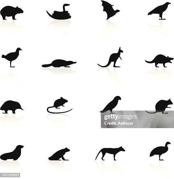 ilustrações de stock, clip art, desenhos animados e ícones de vector conjunto de ícones de animais da tasmânia - reptile