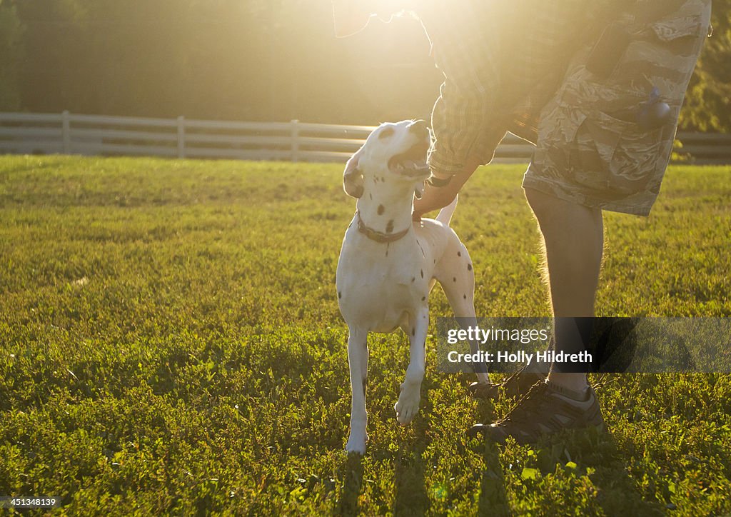 Man petting a dog