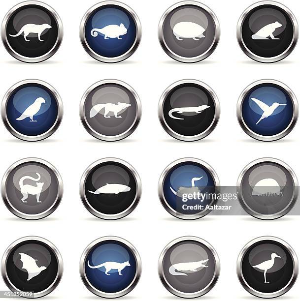 supergloss icons - madagascar animals - lemur icon stock illustrations