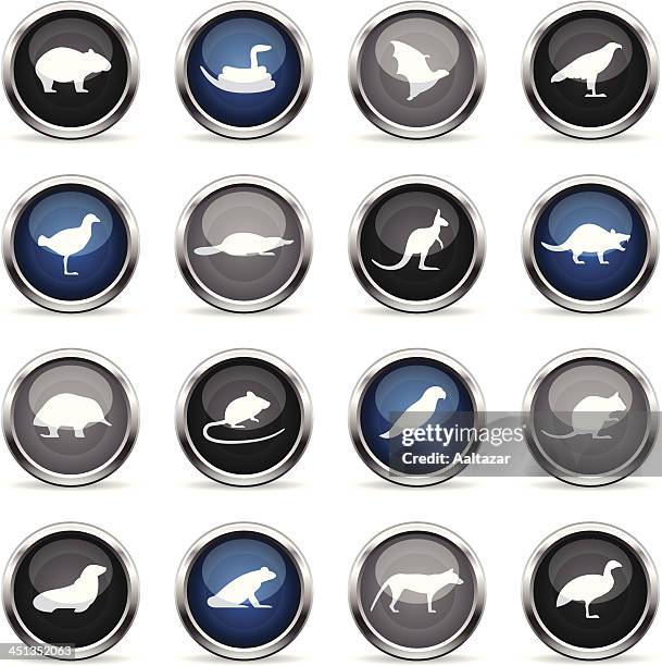 supergloss icons - tasmanian animals - australian wombats stock illustrations