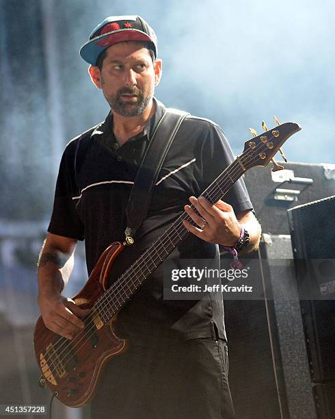 Marc Brownstein of Conspirator performs on Day 2 of the Electric Forest Festival on June 27, 2014 in Rothbury, Michigan.