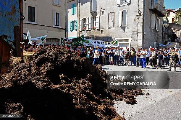 People and farmers spread manure and straw in front of the prefecture during a demonstration against the reintroduction of brown bears in the...