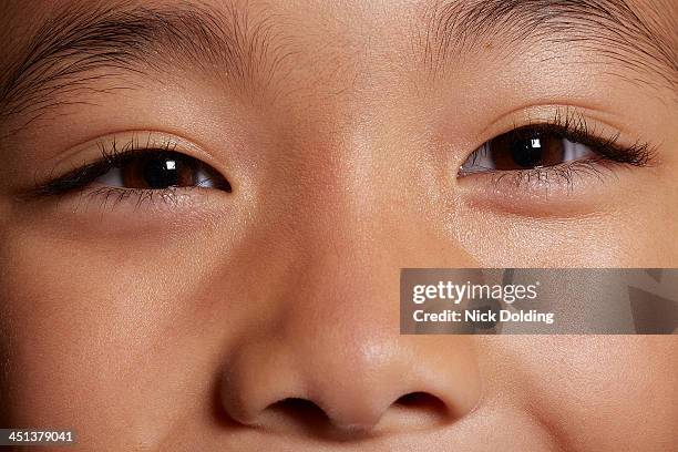 close up 63 - brown eyes stock pictures, royalty-free photos & images