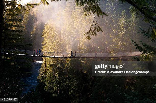 capilano suspension bridge, vancouver - hängbro bildbanksfoton och bilder