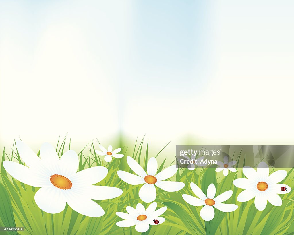 Spring Background High-Res Vector Graphic - Getty Images