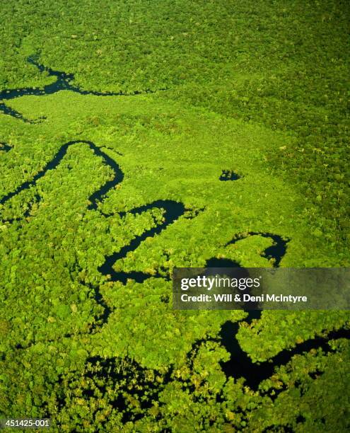 brazil, amazonas, tributary of amazon river, aerial view - estado del amazonas brasil fotografías e imágenes de stock