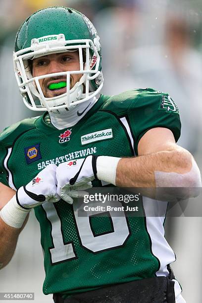 Brett Swain of the Saskatchewan Roughriders celebrates a touchdown during week one of the 2014 CFL season at Mosaic Stadium on June 29, 2014 in...