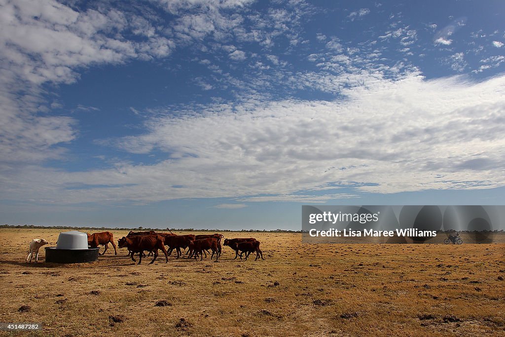 Record Drought-Declared Throughout The State of Queensland