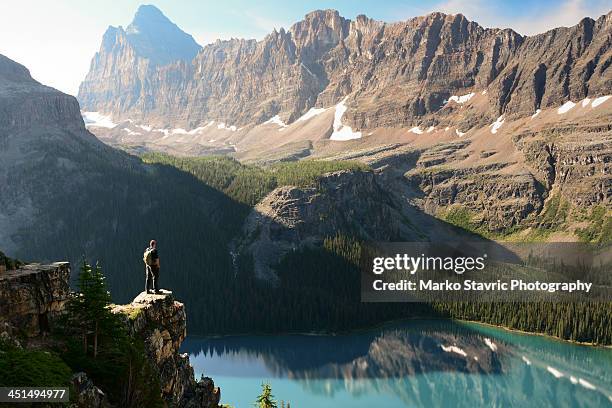 lake o'hara morning - lago o'hara foto e immagini stock