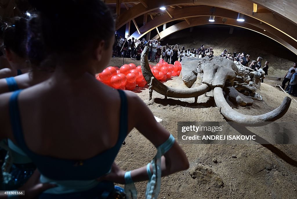 SERBIA-SCIENCE-PALEONTOLOGY-MAMMOTH-ATTRACTION
