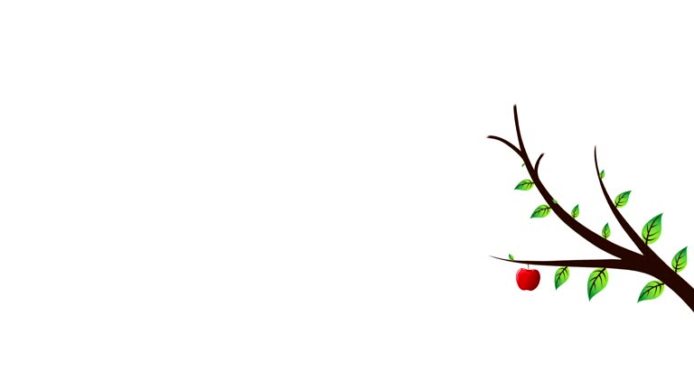 Animation Red Tree Picture 1,621 Tree Growing Animation Stock Videos, Footage, & 4K Video Clips ...