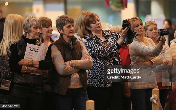 People watch as a cat is judged at the Governing Council of the Cat Fancy's 'Supreme Championship Cat Show' at the NEC Arena on November 23, 2013 in...