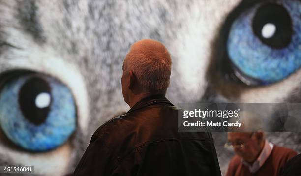 People walk around the Governing Council of the Cat Fancy's 'Supreme Championship Cat Show' at the NEC Arena on November 23, 2013 in Birmingham,...