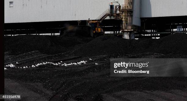 Piles of coal sit oustide DTE Energy Co.'s Monroe Power Plant in Monroe, Michigan, U.S., on Monday, June 30, 2014. DTE Energy's Monroe plant is the...