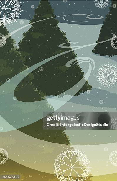 winter wonderland - noble fir stock illustrations