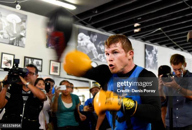 Canelo Alvarez, former WBC & WBA Super Welterweight World Champion, trains during an open workout at the House of Boxing Gym July 1, 2014 in San...