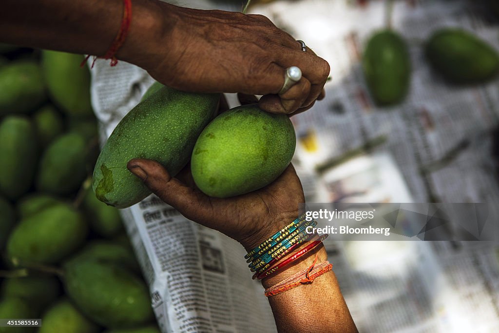 Mango Harvest And Sale As Modi Looks To Reform State Controlled Market