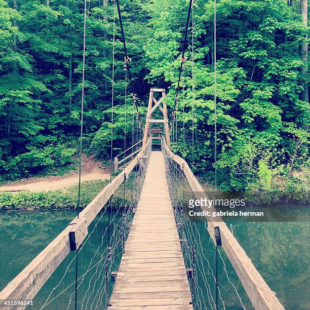 bridge in kentucky - natural bridge state park stockfoto's en -beelden