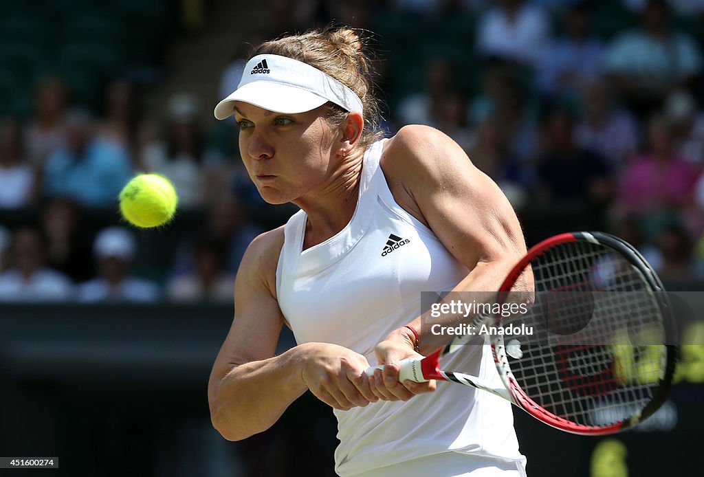 2014 Wimbledon Championships