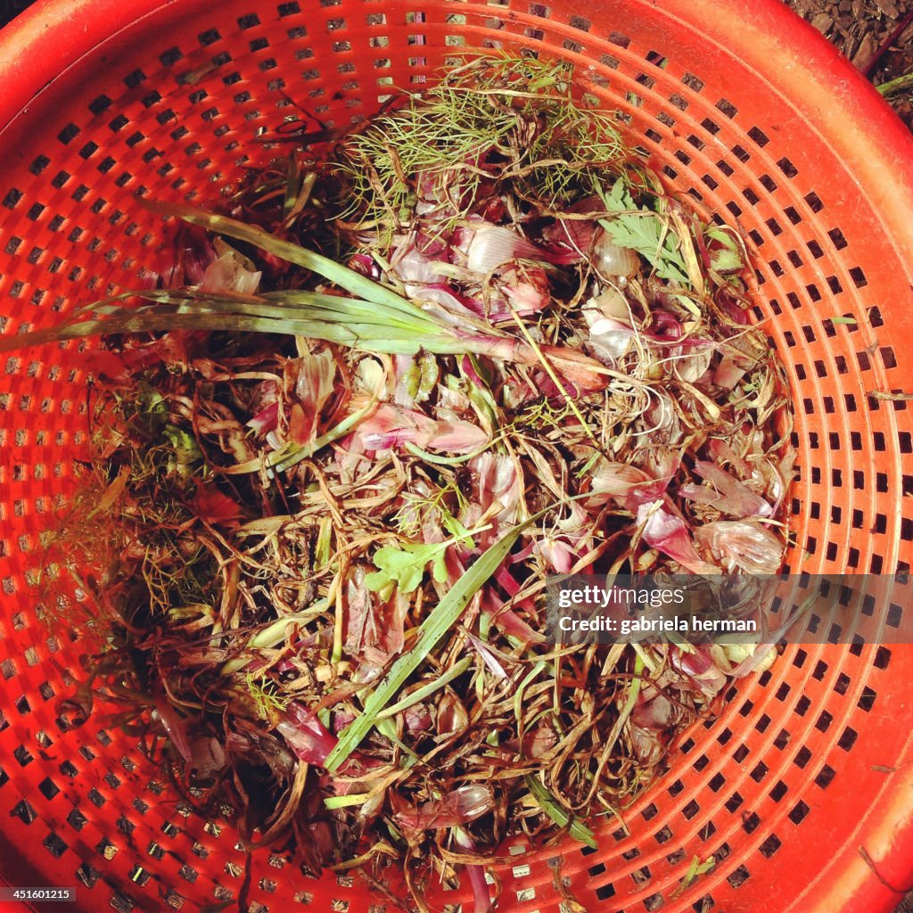 Compost