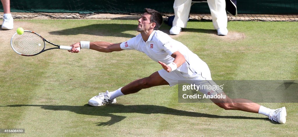 2014 Wimbledon Championships