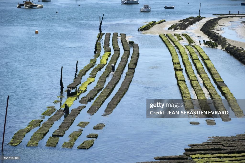 FRANCE-ECONOMY-MARITIME-FISHING