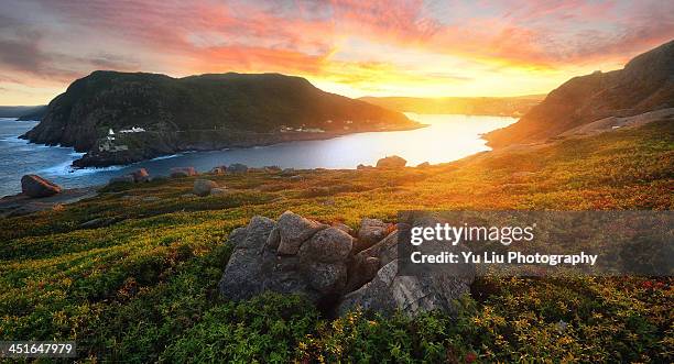 on top of signal hill - newfoundland stock-fotos und bilder