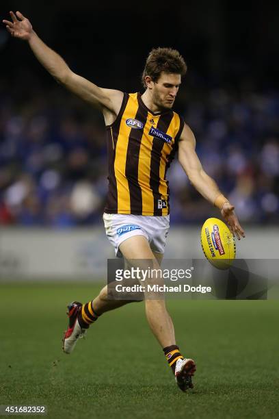 Grant Birchall of the Hawks kicks the ball during the round 16 AFL match between North Melbourne Kangaroos and the Hawthorn Hawks at Etihad Stadium...