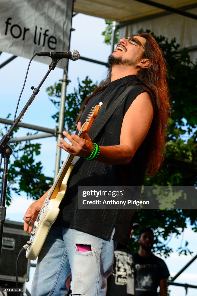 Waterfront Blues Festival 2014 - Day 1