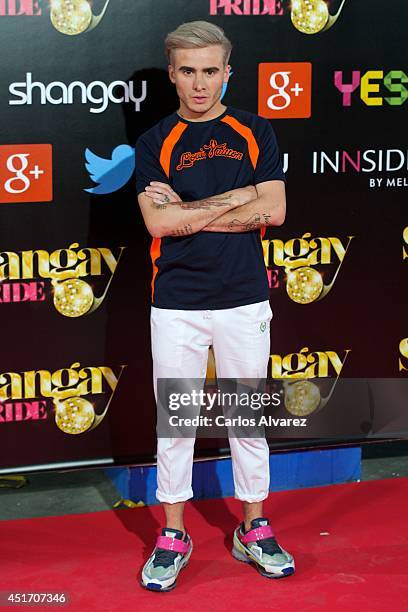 Roi Porto attends the Shangay Pride concert at the Vicente Calderon stadium on July 4, 2014 in Madrid, Spain.