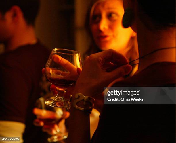 76 Halsted Sullivan Stock Photos, HighRes Pictures, and Images Getty