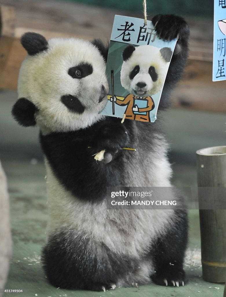 TAIWAN-CHINA-DIPLOMACY-ANIMAL-PANDA