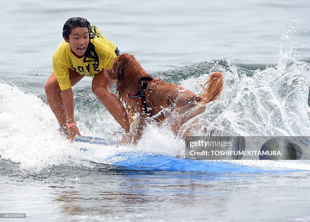 SURFING-JPN-DOG