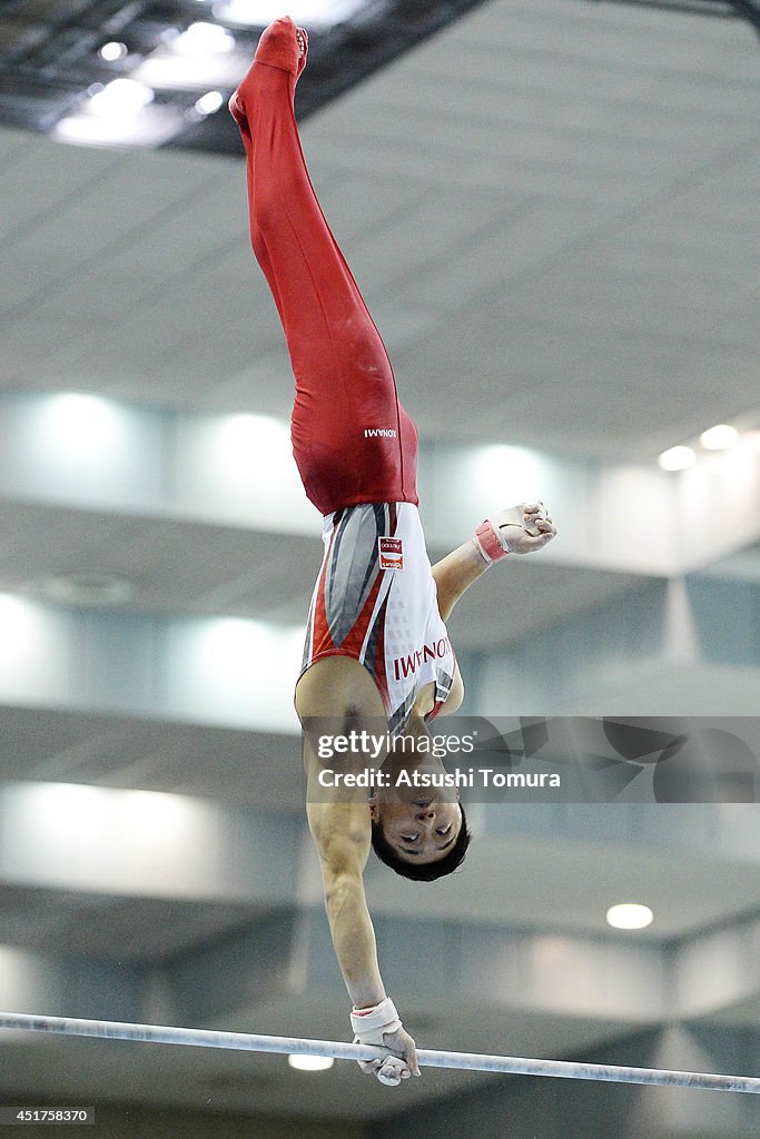 All-Japan Gymnastics Apparatus Championships 2014 - DAY 2