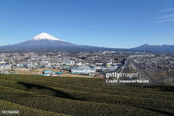 green tea leaves and mt. fuji at fuji city, shizu - prefeitura de shizuoka imagens e fotografias de stock