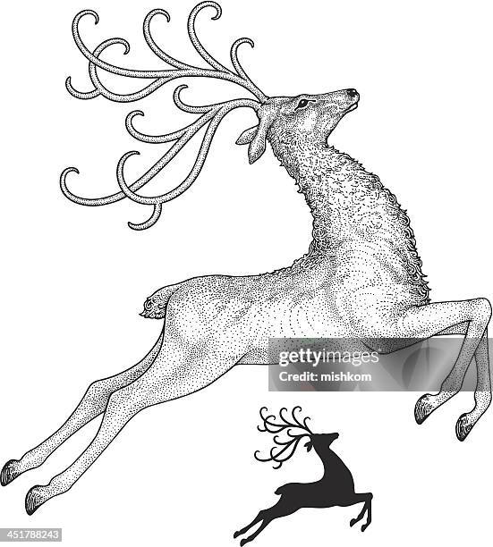 reindeer drawing - buck stock illustrations
