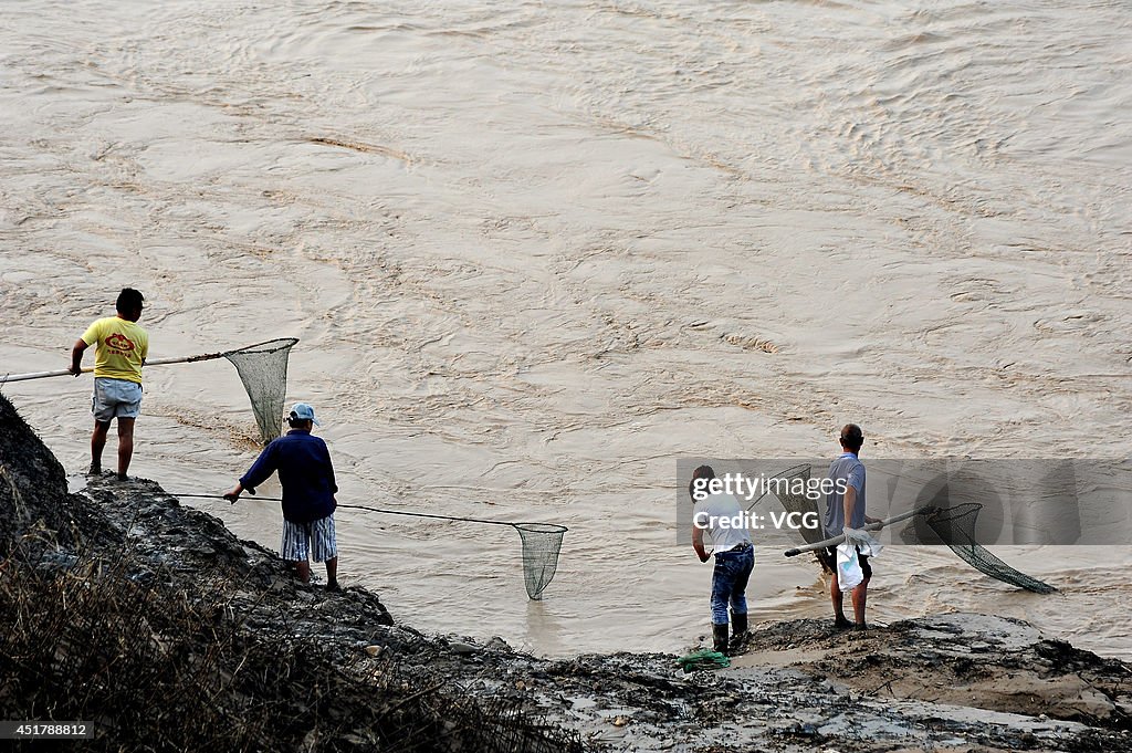 "Fishing Frenzy" In Yellow River