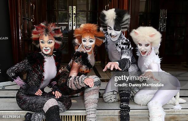 Cast member of Cats in costume attend a photocall for "Cats" at London Palladium on July 7, 2014 in London, England.