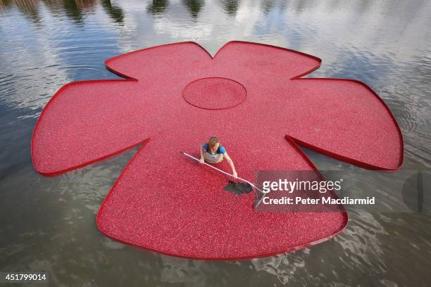 New England cranberry farmer Adrienne Mollor arranges a rose shaped floating display full of cranberries at the Hampton Court Palace Flower Show on...
