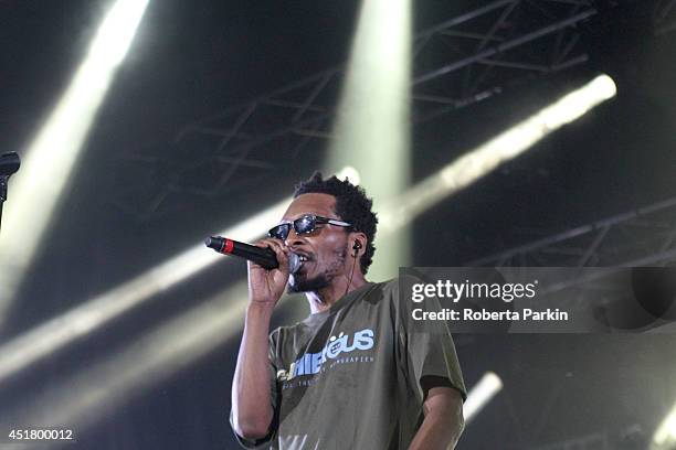Del the Funky Homosapien of Deltron 3030 performs during the 2014 Festival International de Jazz de Montreal on July 6, 2014 in Montreal, Canada.