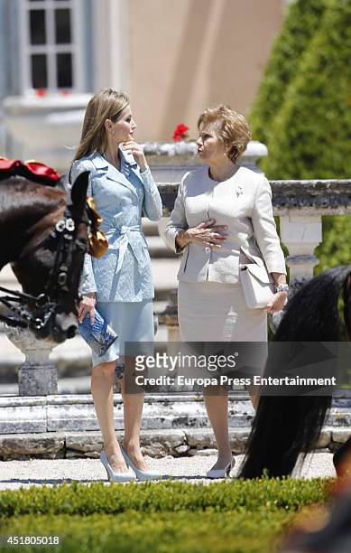 Queen Letizia of Spain and First Lady of Portugal, Maria Cavaco attend an official visit to Portugal on July 7, 2014 in Lisbon, Portugal.
