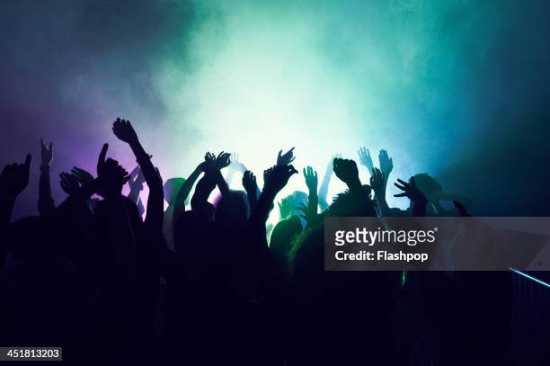 group of people having fun at music concert - nightlife imagens e fotografias de stock