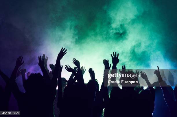 group of people having fun at music concert - nightclub fotografías e imágenes de stock