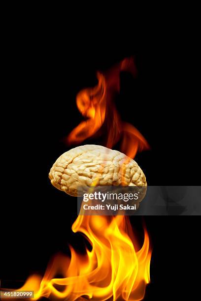 double exposure of  flam and model  of human brain - hirnverbrannt stock-fotos und bilder