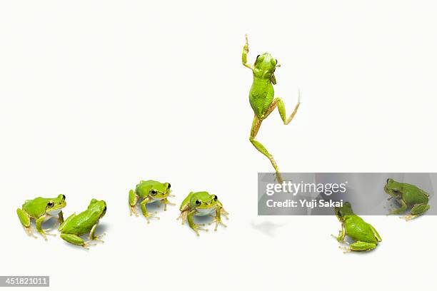 Flog Implement 3,567 Flog Stock Photos, High-Res Pictures, and Images - Getty Images