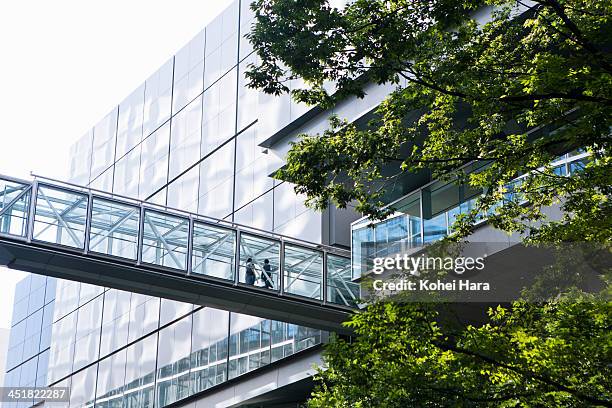 an office building and green - elevated walkway stock pictures, royalty-free photos & images