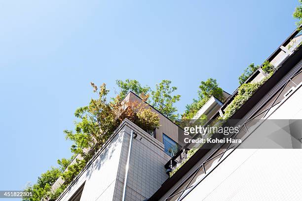 a rooftop garden of the office building - dachbegrünung stock-fotos und bilder