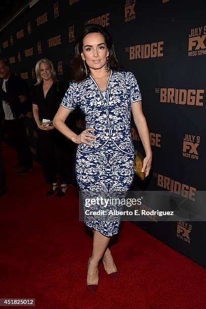 Actress Ana de la Reguera attends the premiere of FX's "The Bridge" at Pacific Design Center on July 7, 2014 in West Hollywood, California.